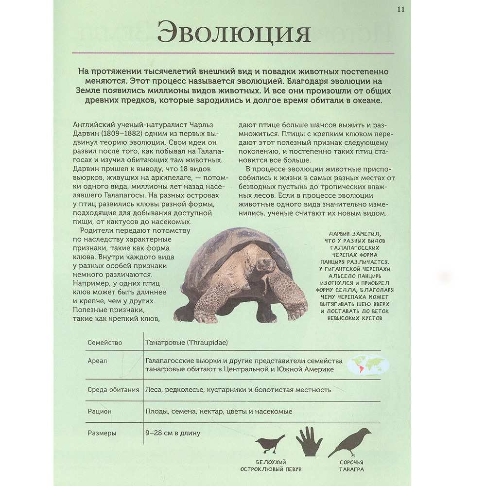 Книга 978-5-353-10293-9 Животные. Современная энциклопедия Книга 978-5-353-10293-9 Животные. Современная энциклопедия