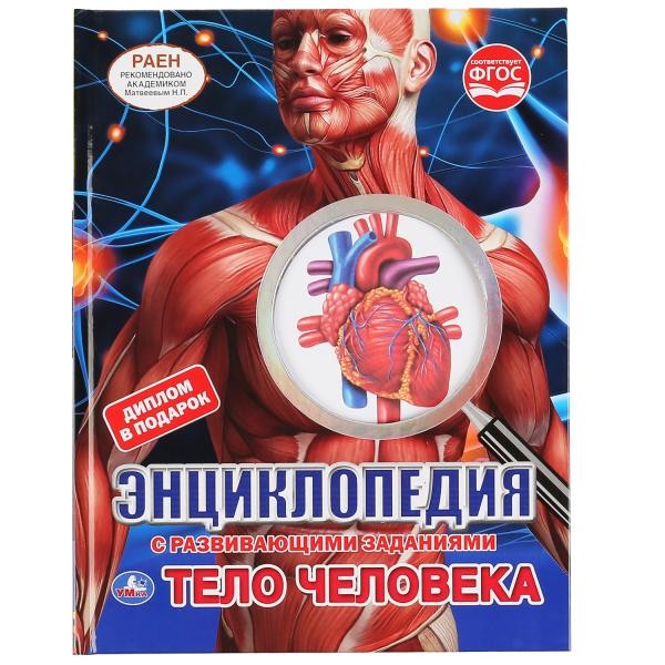 Книга Умка 9785506046486 Энциклопедия.Тело человека.С вырубкой на обложке