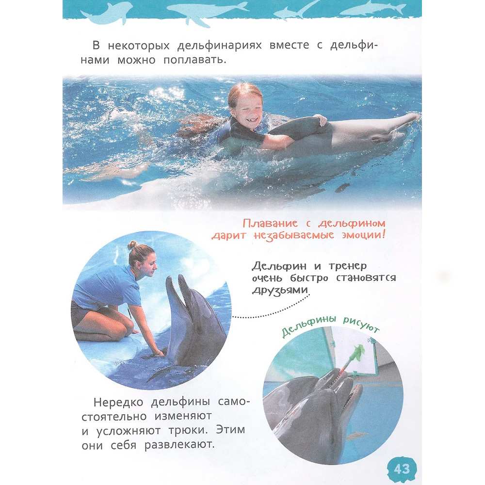 Книга 978-5-353-10284-7 Акулы, киты и дельфины Энциклопедия для детского сада Книга 978-5-353-10284-7 Акулы, киты и дельфины Энциклопедия для детского сада