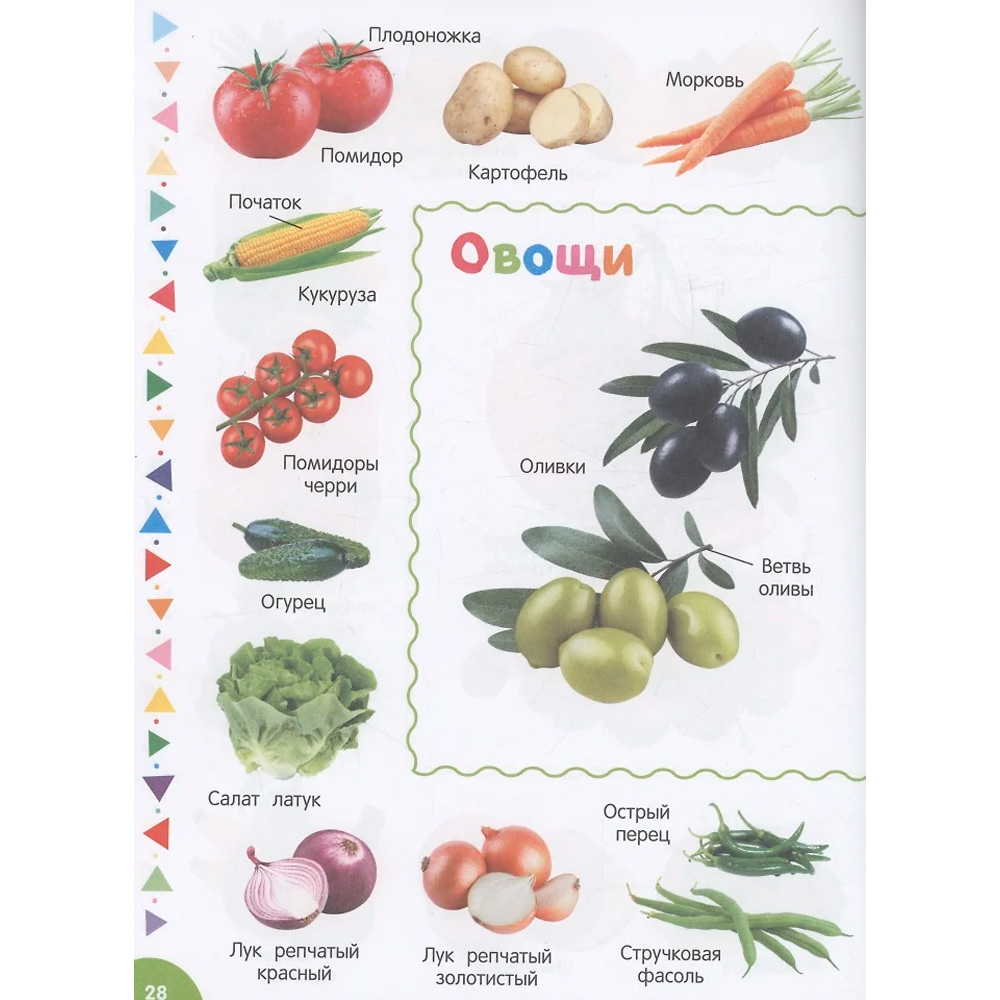 Книга 978-5-353-10544-2 Большая фотокнига малыша. 1000 слов Книга 978-5-353-10544-2 Большая фотокнига малыша. 1000 слов