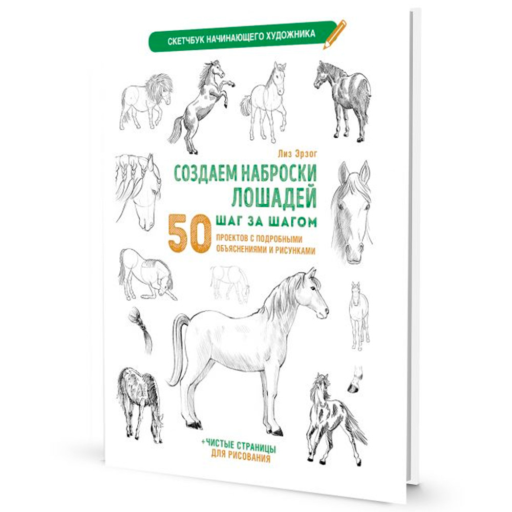 Скетчбук начинающего художника. Создаем наброски лошадей шаг за шагом (белая обложка) 978-5-00241-199-3 Скетчбук начинающего художника. Создаем наброски лошадей шаг за шагом (белая обложка) 978-5-00241-199-3