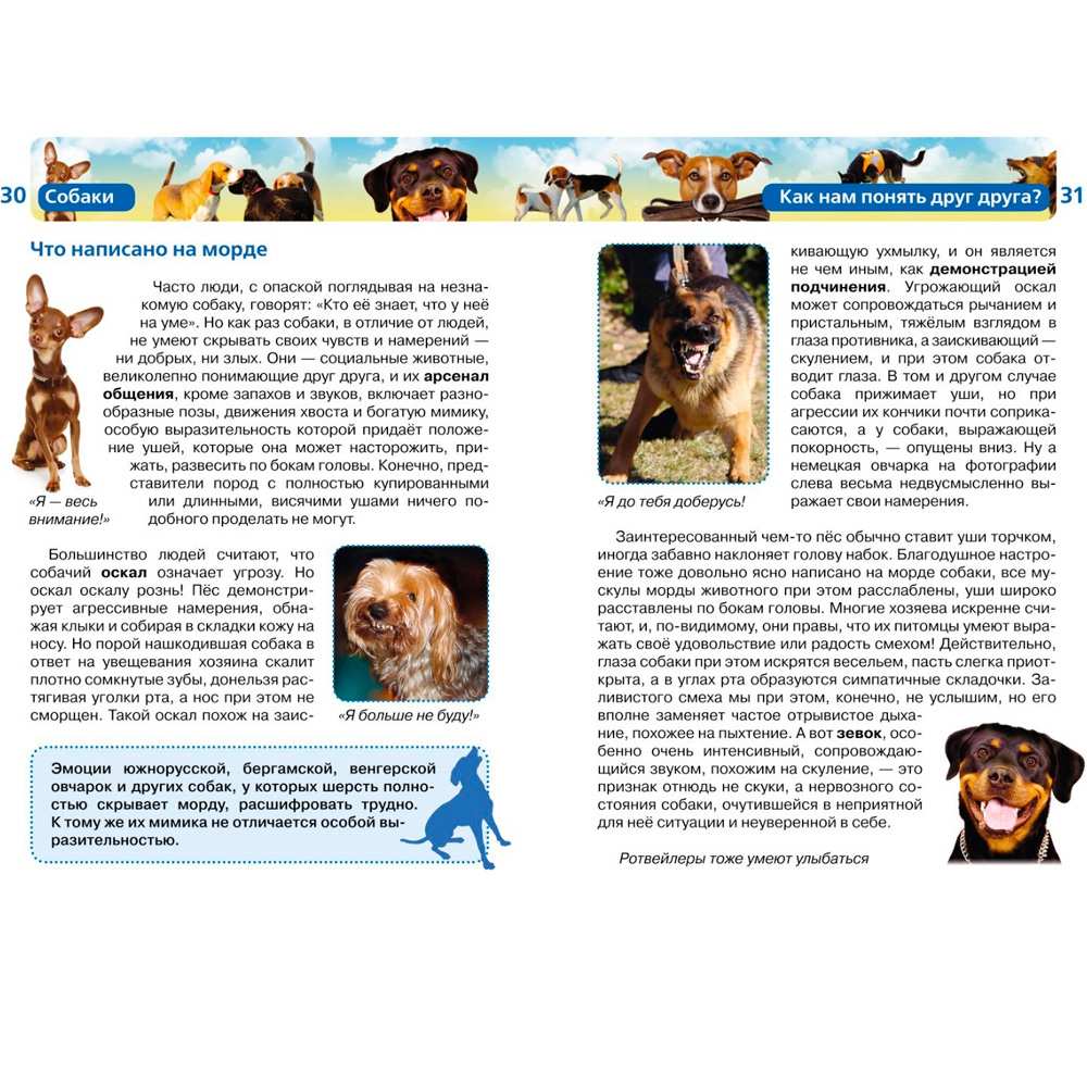 Книга 978-5-353-05958-5 Собаки (ДЭР) Книга 978-5-353-05958-5 Собаки (ДЭР)