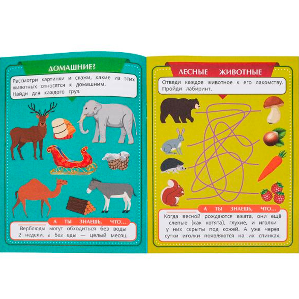 Книга Умка 9785506098379 Животные. Скоро в школу Книга Умка 9785506098379 Животные. Скоро в школу