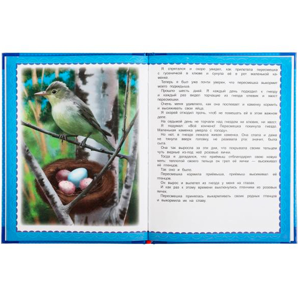 Книга Умка 9785506059806 Лесные сказки.Виталий Бианки.Любимые книжки