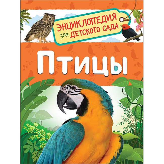 Книга 978-5-353-09340-4 Птицы.Энциклопедия для детского сада Книга 978-5-353-09340-4 Птицы.Энциклопедия для детского сада