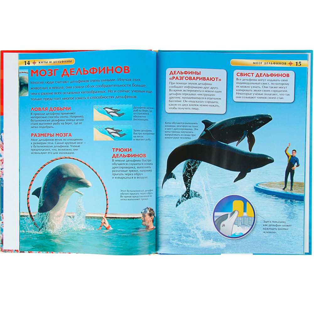 Книга 978-5-353-05767-3 Киты и дельфины.Детская энциклопедия Книга 978-5-353-05767-3 Киты и дельфины.Детская энциклопедия