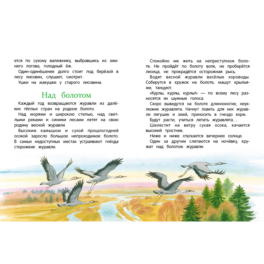 Книга 10998 Внек.Чтение. Рассказы о природе . Книга 10998 Внек.Чтение. Рассказы о природе .