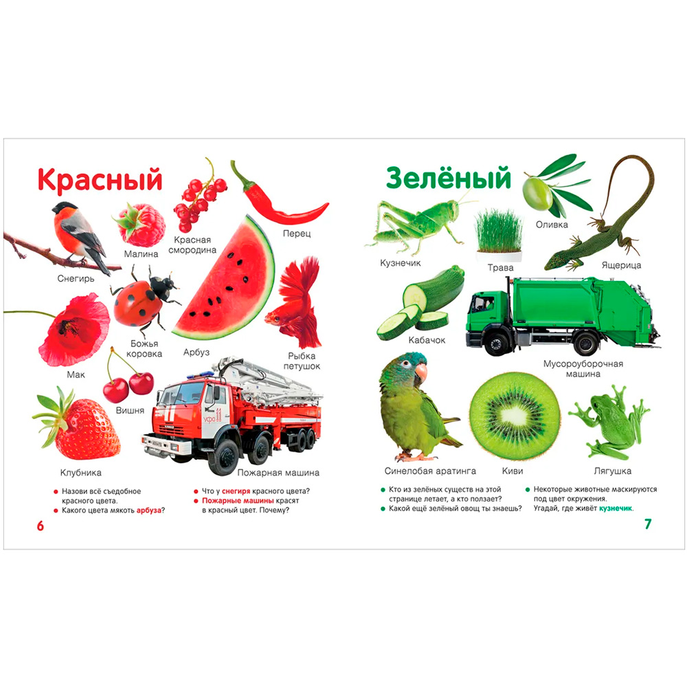 Книга 978-5-353-10529-9 Цвета и формы. Твоя первая фотокнига Книга 978-5-353-10529-9 Цвета и формы. Твоя первая фотокнига