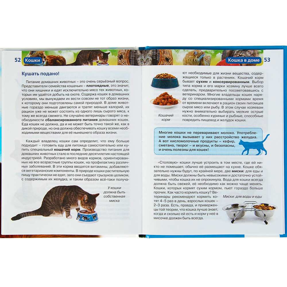 Книга энциклопедия 978-5-353-05808-3 Кошки (ДЭР) Книга энциклопедия 978-5-353-05808-3 Кошки (ДЭР)