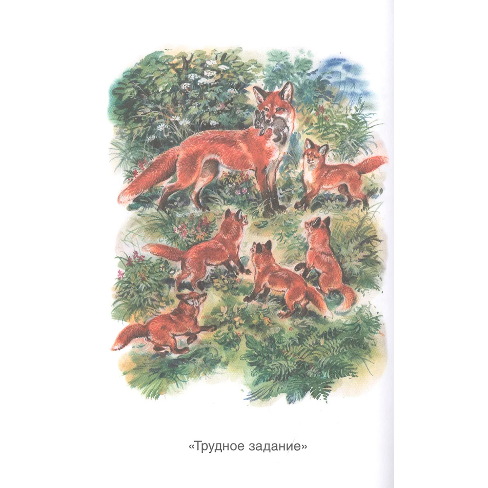 Книга 978-5-353-10133-8 Скребицкий Г. Рассказы о природе (ВЧ) Книга 978-5-353-10133-8 Скребицкий Г. Рассказы о природе (ВЧ)