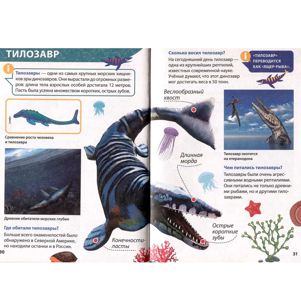 Книга 978-5-378-34378-2 ЭНЦИКЛОПЕДИЯ ДЛЯ МАЛЕНЬКИХ ПОЧЕМУЧЕК. Динозавры Книга 978-5-378-34378-2 ЭНЦИКЛОПЕДИЯ ДЛЯ МАЛЕНЬКИХ ПОЧЕМУЧЕК. Динозавры