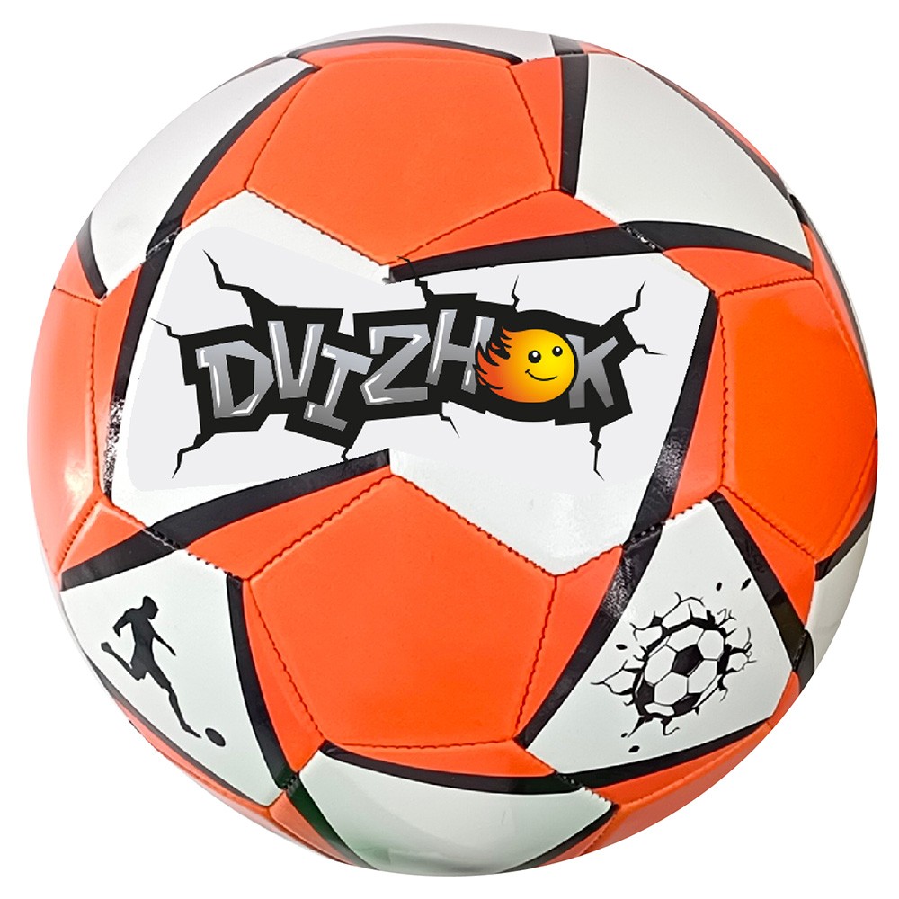 Мяч Футбол №5 Dvizhok 141V-347