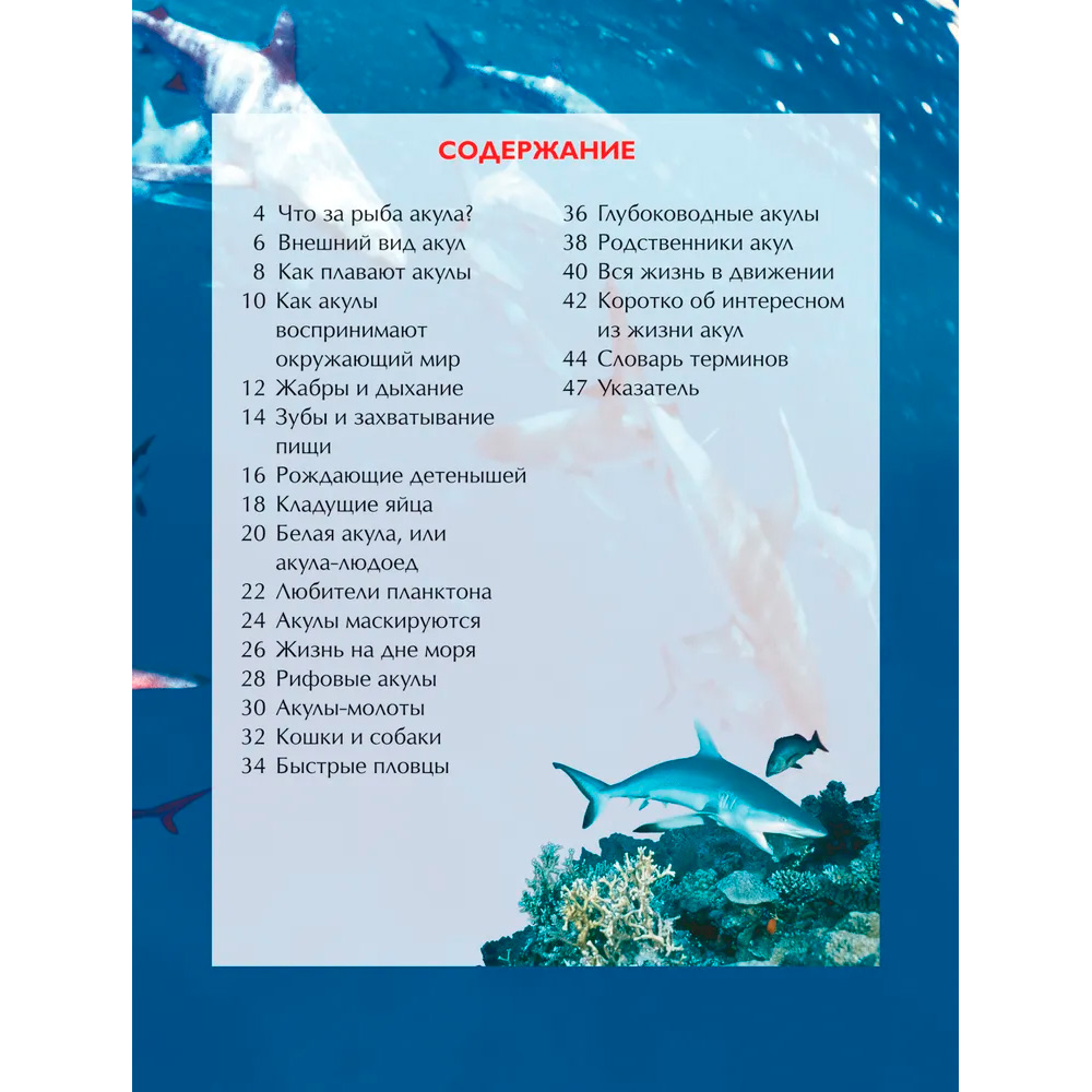 Книга 978-5-353-05752-9 Акулы.Детская энциклопедия. Книга 978-5-353-05752-9 Акулы.Детская энциклопедия.