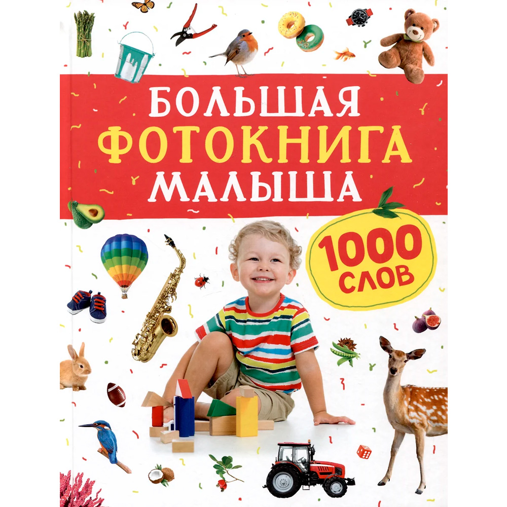 Книга 978-5-353-10544-2 Большая фотокнига малыша. 1000 слов Книга 978-5-353-10544-2 Большая фотокнига малыша. 1000 слов
