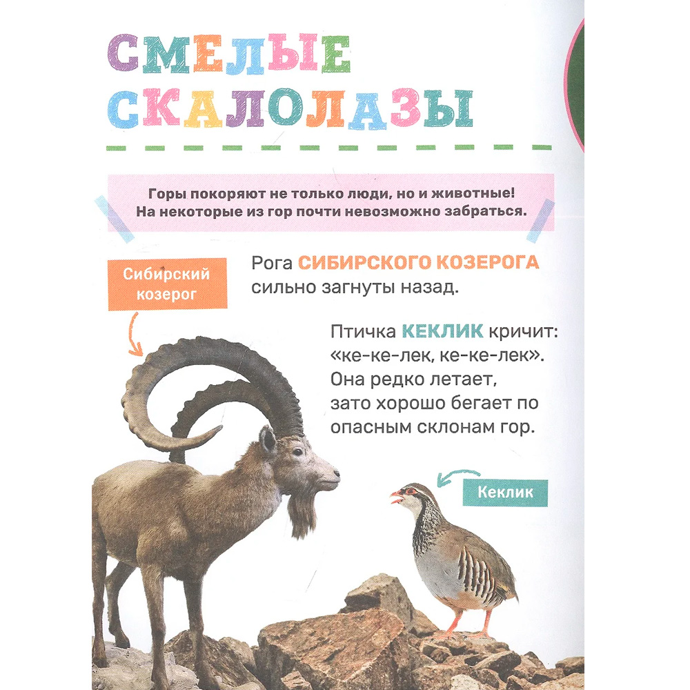 Книга 978-5-353-10380-6 Животные. Первая энциклопедия малыша Книга 978-5-353-10380-6 Животные. Первая энциклопедия малыша