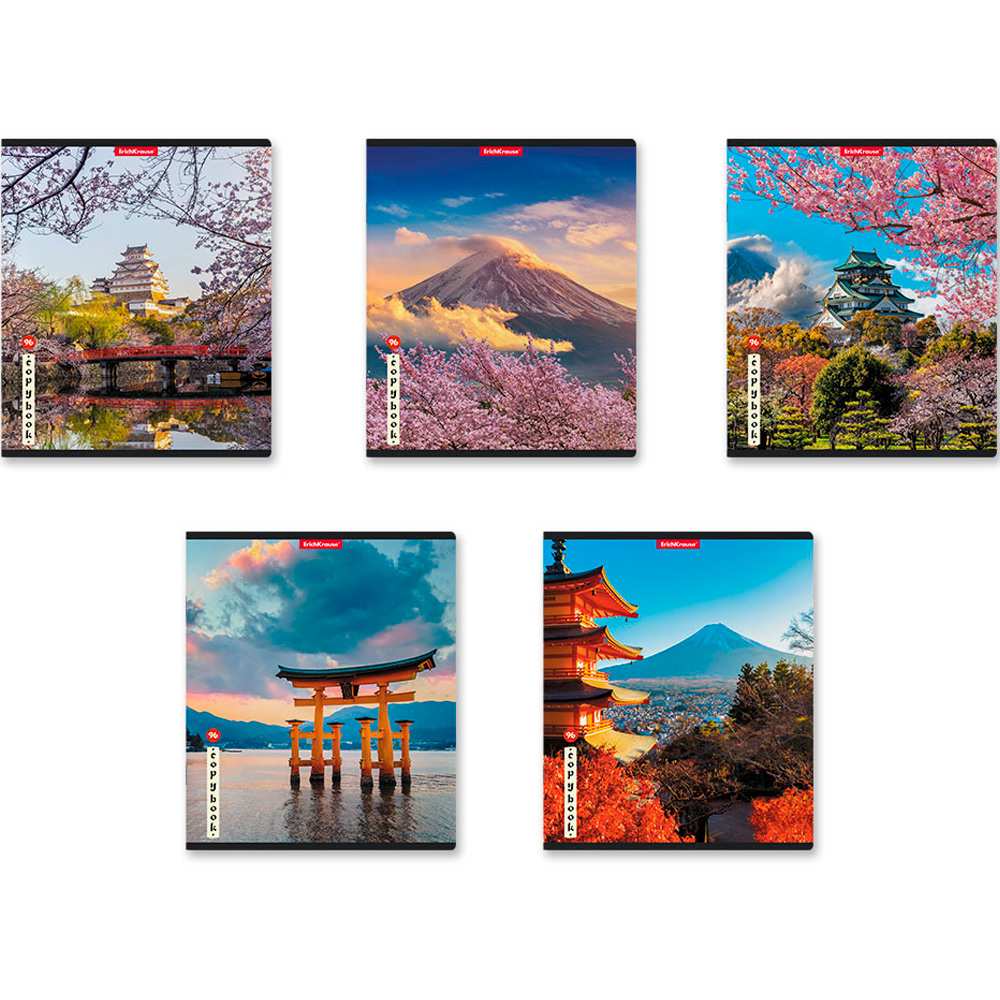 Тетрадь 96 л. клетка ErichKrause Mysterious Japan 58292