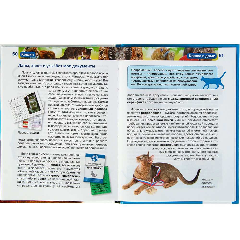 Книга энциклопедия 978-5-353-05808-3 Кошки (ДЭР) Книга энциклопедия 978-5-353-05808-3 Кошки (ДЭР)