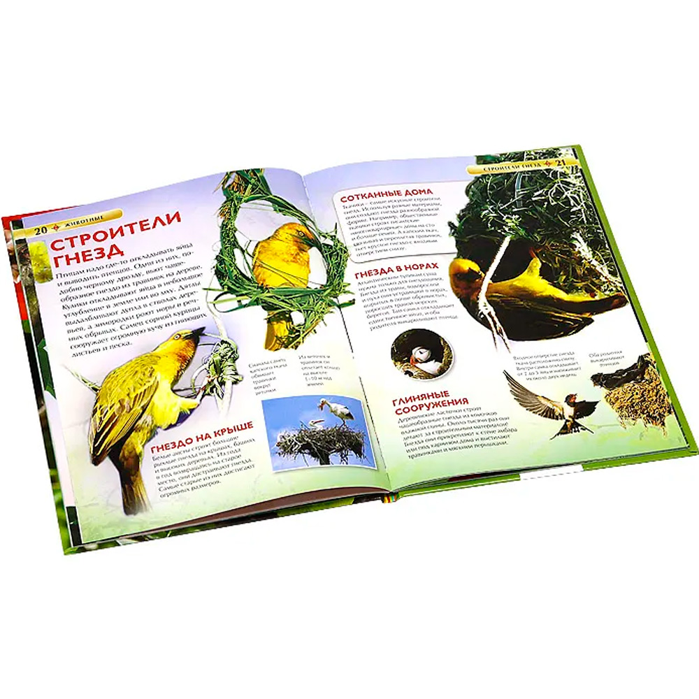 Книга 978-5-353-05838-0 Животные.Детская энциклопедия Книга 978-5-353-05838-0 Животные.Детская энциклопедия