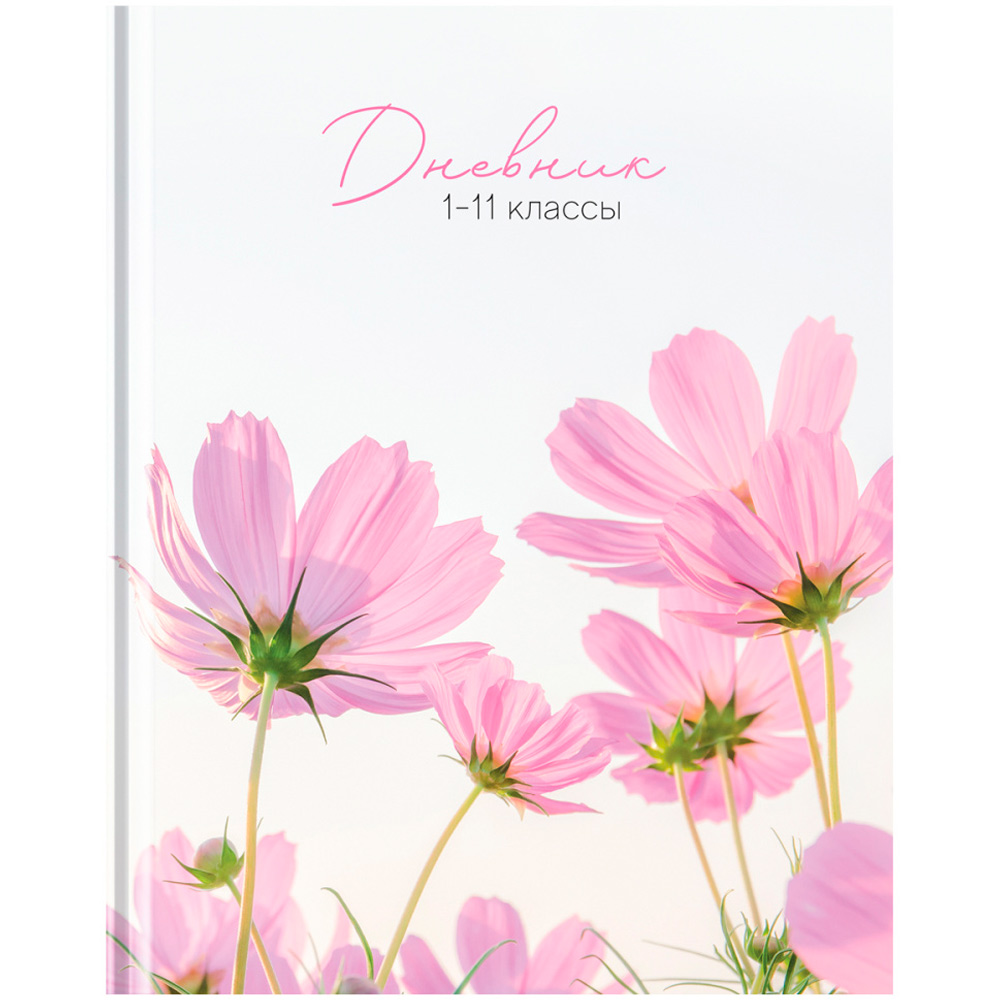 Дневник 1-11 кл. 40л. BG Mix-6. Девочки Д5т40_лм 12607 Дневник 1-11 кл. 40л. BG Mix-6. Девочки Д5т40_лм 12607