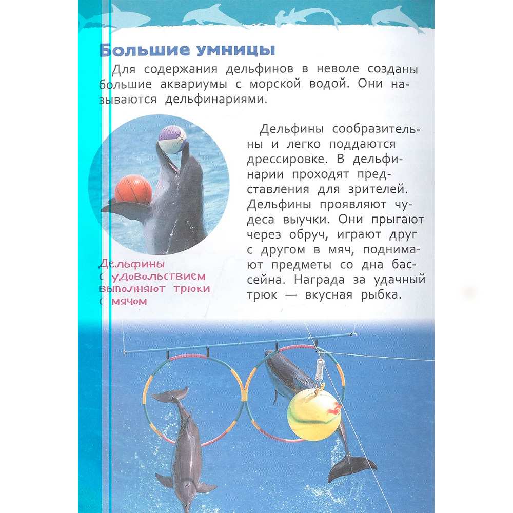 Книга 978-5-353-10284-7 Акулы, киты и дельфины Энциклопедия для детского сада Книга 978-5-353-10284-7 Акулы, киты и дельфины Энциклопедия для детского сада