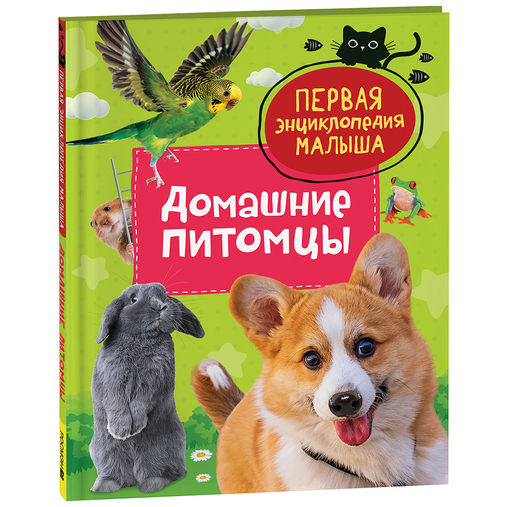 Книга 978-5-353-10384-4 Домашние питомцы. Первая энциклопедия малыша Книга 978-5-353-10384-4 Домашние питомцы. Первая энциклопедия малыша