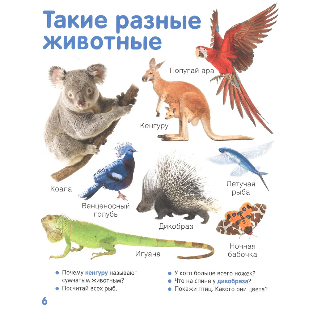 Книга 978-5-353-10526-8 Животные. Твоя первая фотокнига Книга 978-5-353-10526-8 Животные. Твоя первая фотокнига