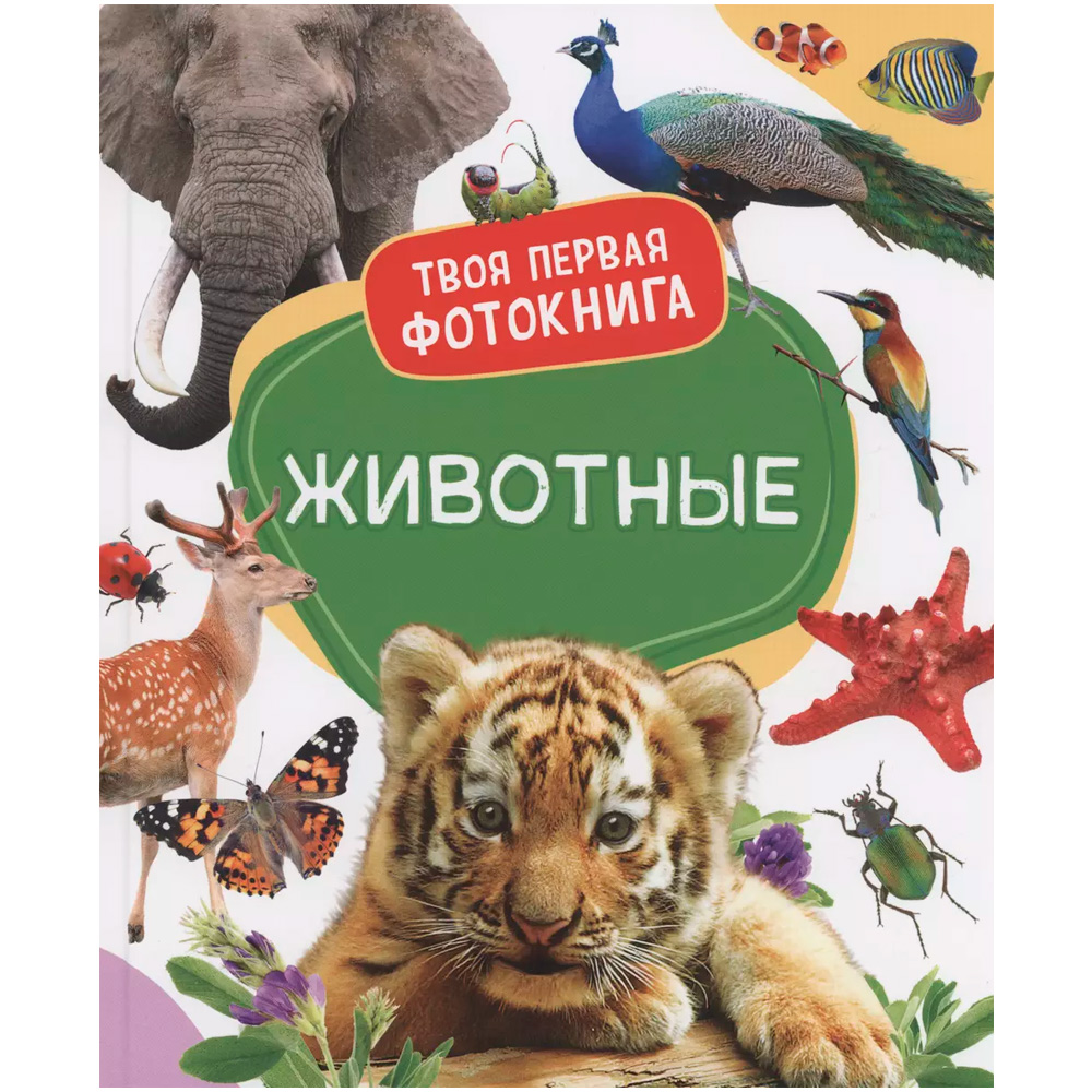 Книга 978-5-353-10526-8 Животные. Твоя первая фотокнига Книга 978-5-353-10526-8 Животные. Твоя первая фотокнига