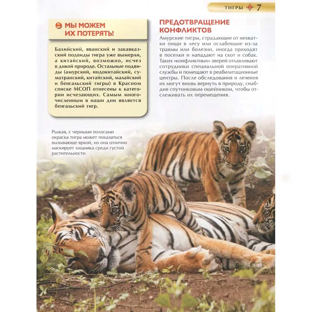 Книга 978-5353-10292-2 Красная книга. Детская энциклопедия Книга 978-5353-10292-2 Красная книга. Детская энциклопедия