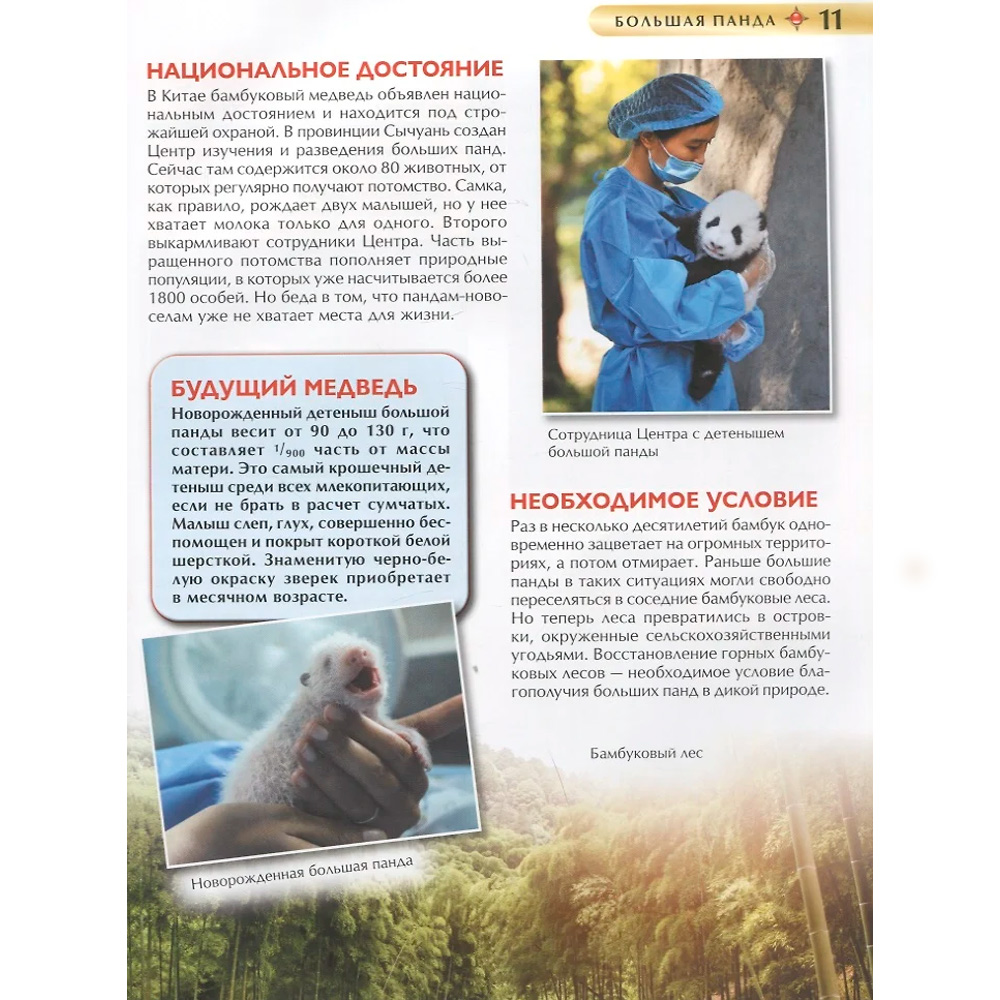 Книга 978-5353-10292-2 Красная книга. Детская энциклопедия Книга 978-5353-10292-2 Красная книга. Детская энциклопедия